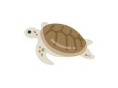 ウミガメのアイコンの無料イラスト