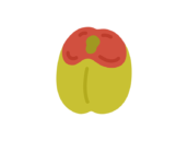 梅のアイコンの無料イラスト