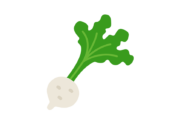 野菜のカブのアイコンの無料イラスト