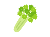 セロリのアイコンの無料イラスト