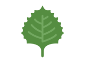 大葉のアイコンの無料イラスト