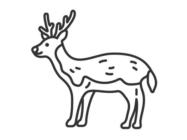 Free illustration of deer (line drawing) | Illustcenter