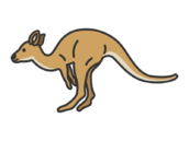 カンガルー（線画カラー）の無料イラスト