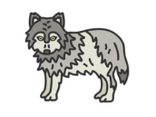狼（線画カラー）の無料イラスト
