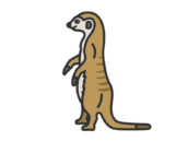 ミーアキャット（線画カラー）の無料イラスト