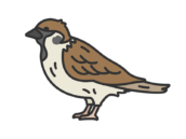 スズメ（線画カラー）の無料イラスト
