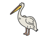 ペリカン（線画カラー）の無料イラスト