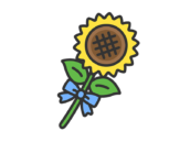 父の日の、リボンを付けた向日葵の花（線画カラー）の無料イラスト