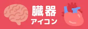 臓器アイコンのイラスト素材特集