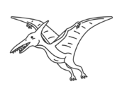 恐竜のプテラノドン（線画）の無料イラスト