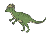 恐竜のパキケファロサウルス（線画カラー）の無料イラスト
