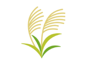 秋のすすきのアイコンの無料イラスト｜透過PNG・商用利用OK