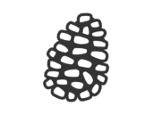 松ぼっくりのアイコン（線画）の無料イラスト｜透過PNG・商用利用OK