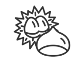 栗の殻と、栗のアイコン（線画）の無料イラスト｜透過PNG・商用利用OK