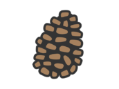 松ぼっくりのアイコン（線画カラー）の無料イラスト｜透過PNG・商用利用OK