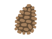 松ぼっくりのアイコンの無料イラスト｜透過PNG・商用利用OK