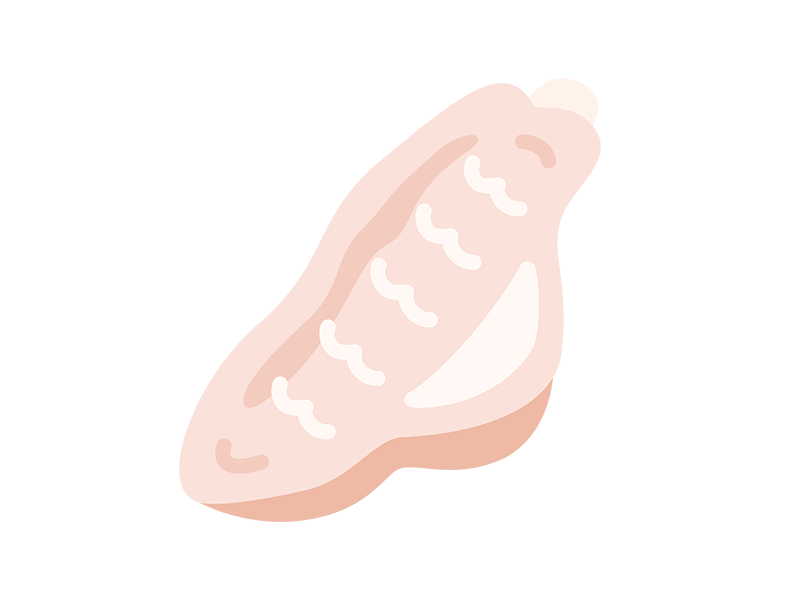 生の、手羽中のアイコンの無料イラスト|透過PNG・商用利用OK