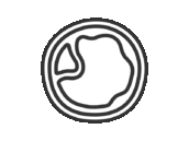 スライスハムのアイコン（線画）の無料イラスト｜透過PNG・商用利用OK