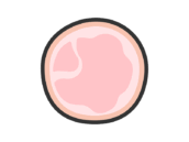 スライスハムのアイコン（線画カラー）の無料イラスト｜透過PNG・商用利用OK