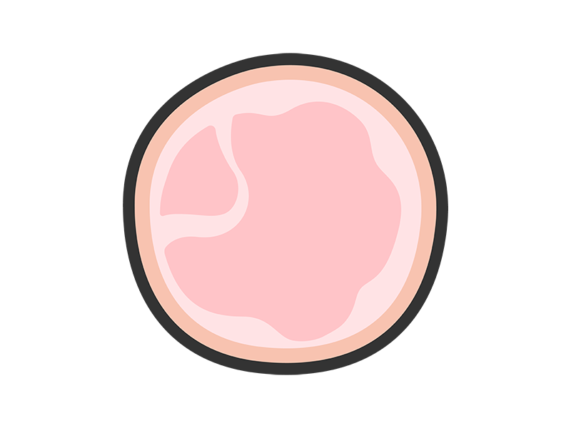 スライスハムのアイコン(線画カラー)の無料イラスト|透過PNG・商用利用OK