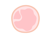 スライスハムのアイコンの無料イラスト｜透過PNG・商用利用OK