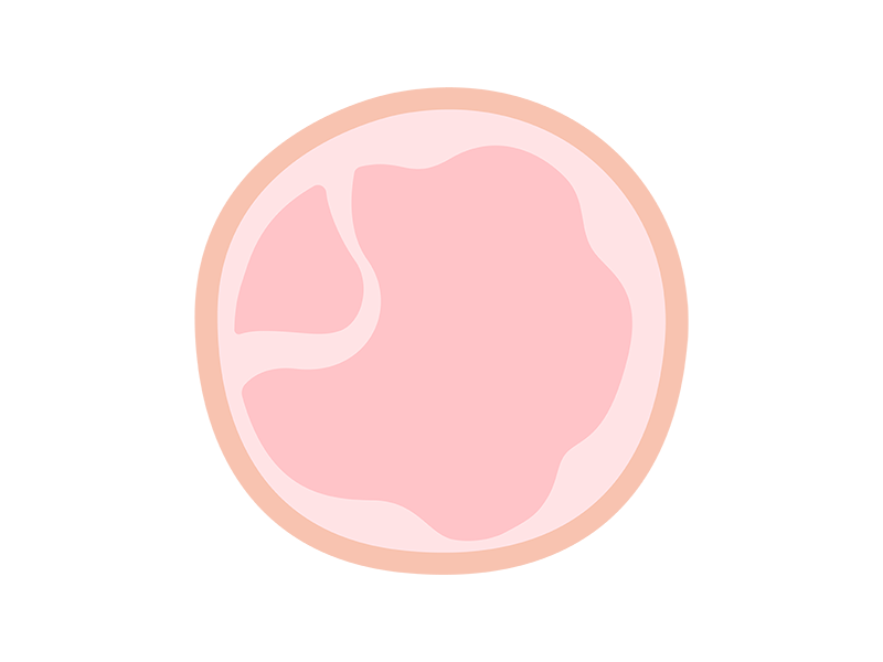スライスハムのアイコンの無料イラスト|透過PNG・商用利用OK