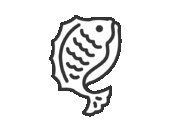 跳ねている、鯛のアイコン（線画）の無料イラスト｜透過PNG・商用利用OK