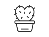 ハート型のサボテンのアイコン（線画）の無料イラスト｜透過PNG・商用利用OK