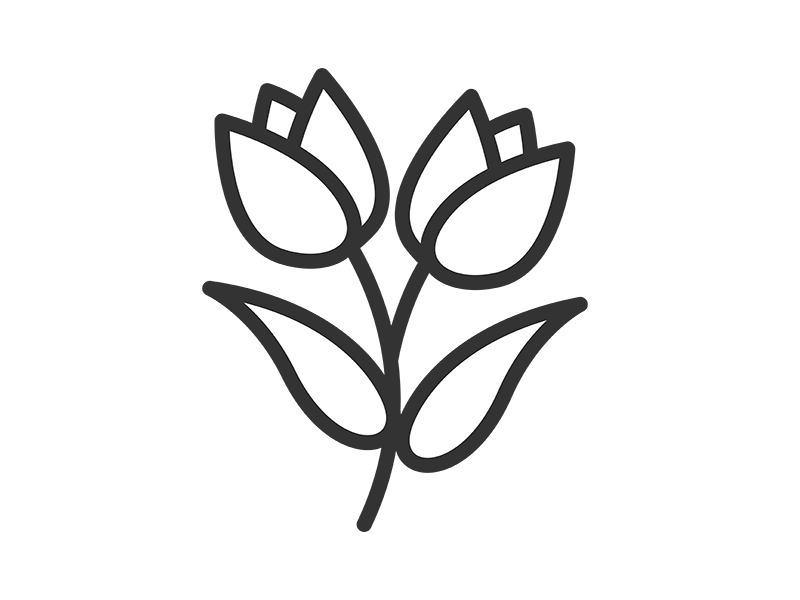 二輪のチューリップの花のアイコン（線画）の無料イラスト｜透過PNG・商用利用OK