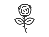 一輪の薔薇の花のアイコン（線画）の無料イラスト｜透過PNG・商用利用OK