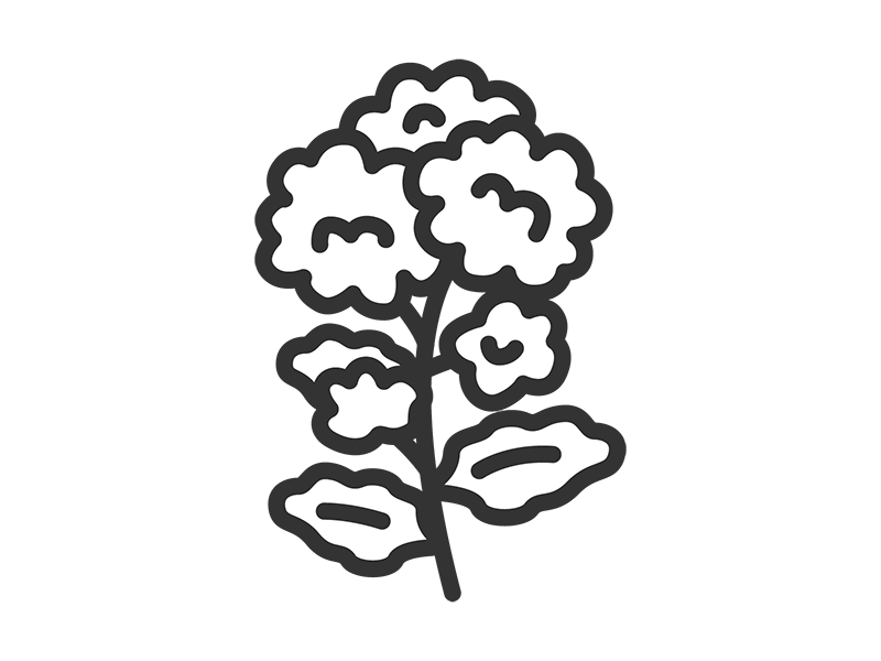 菜の花のアイコン（線画）の無料イラスト｜透過PNG・商用利用OK