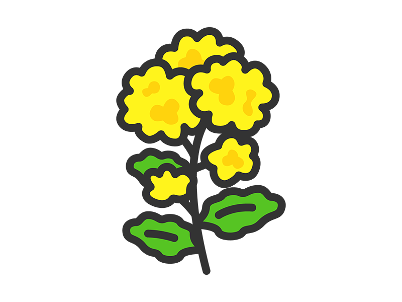 菜の花のアイコン（線画カラー）の無料イラスト｜透過PNG・商用利用OK