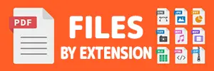 FILE EXTENSION ICON ILLUSTRATION SPECIAL