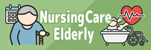 Special Feature on Elderly, Nursing Care, and Medical Icon Illustration Materials