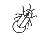 光っている、ホタルのアイコン（線画）の無料イラスト｜透過PNG・商用利用OK