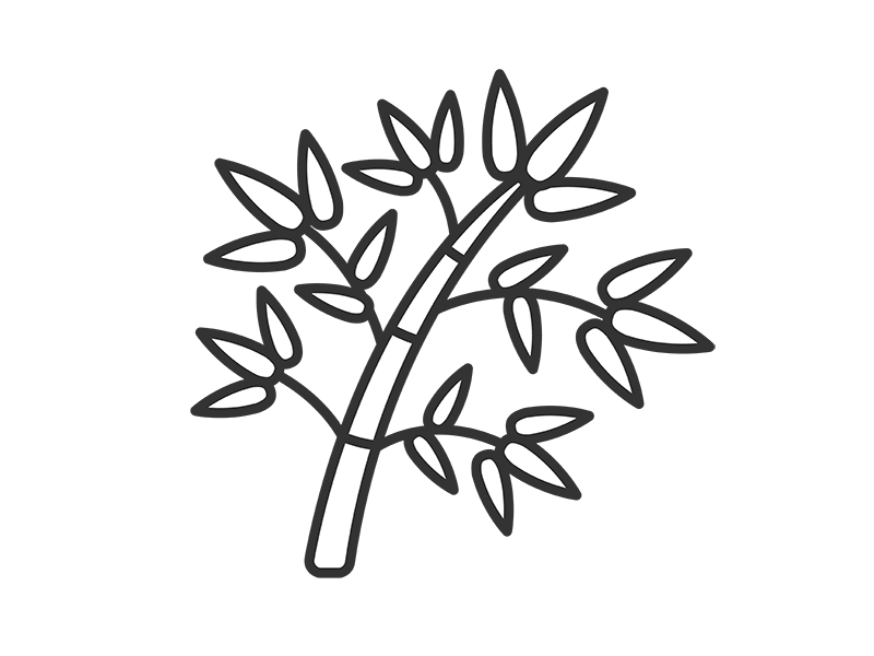 Free illustration of bamboo icon (line drawing)