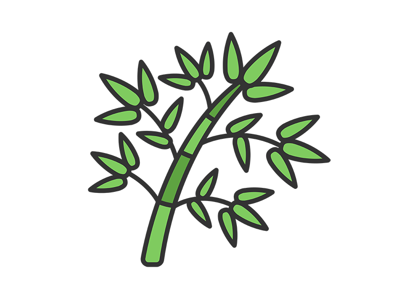 Free illustration of bamboo icon (line drawing color)