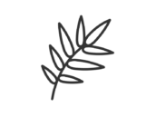 笹の葉のアイコン（線画）の無料イラスト｜透過PNG・商用利用OK