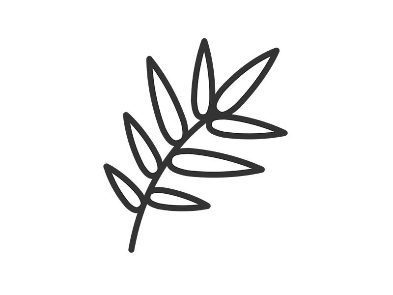 笹の葉のアイコン（線画）の無料イラスト｜透過PNG・商用利用OK