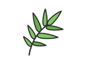 笹の葉のアイコン（線画カラー）の無料イラスト｜透過PNG・商用利用OK