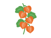 ほおずきのアイコンの無料イラスト｜透過PNG・商用利用OK