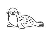 正面を向いた、ゴマアザラシ（線画）の無料イラスト｜透過PNG・商用利用OK