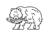 鮭をくわえた、熊（線画）の無料イラスト｜透過PNG・商用利用OK
