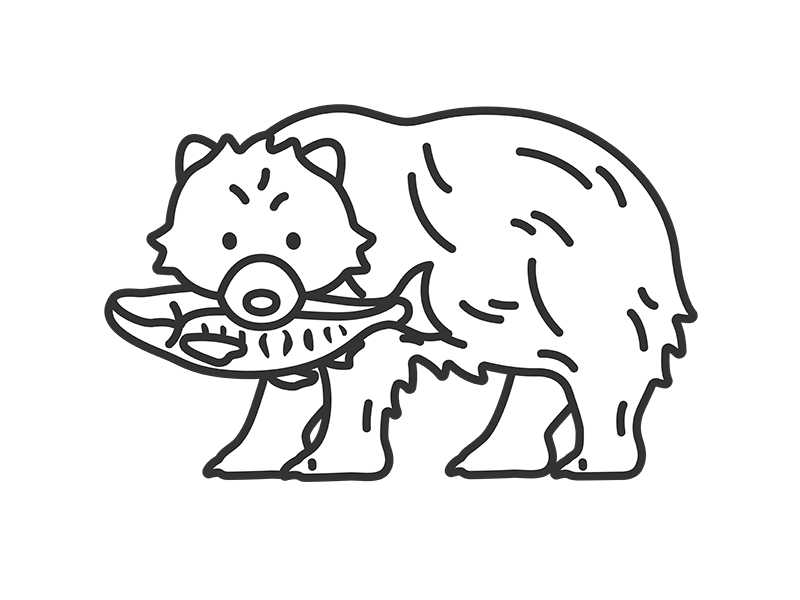 鮭をくわえた、熊（線画）の無料イラスト｜透過PNG・商用利用OK
