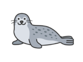 正面を向いた、ゴマアザラシ（線画カラー）の無料イラスト｜透過PNG・商用利用OK