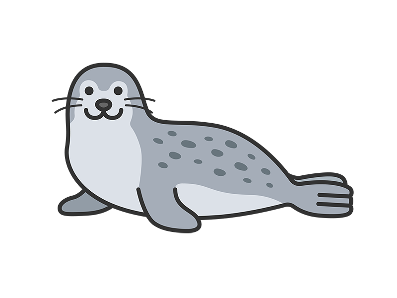 正面を向いた、ゴマアザラシ（線画カラー）の無料イラスト｜透過PNG・商用利用OK