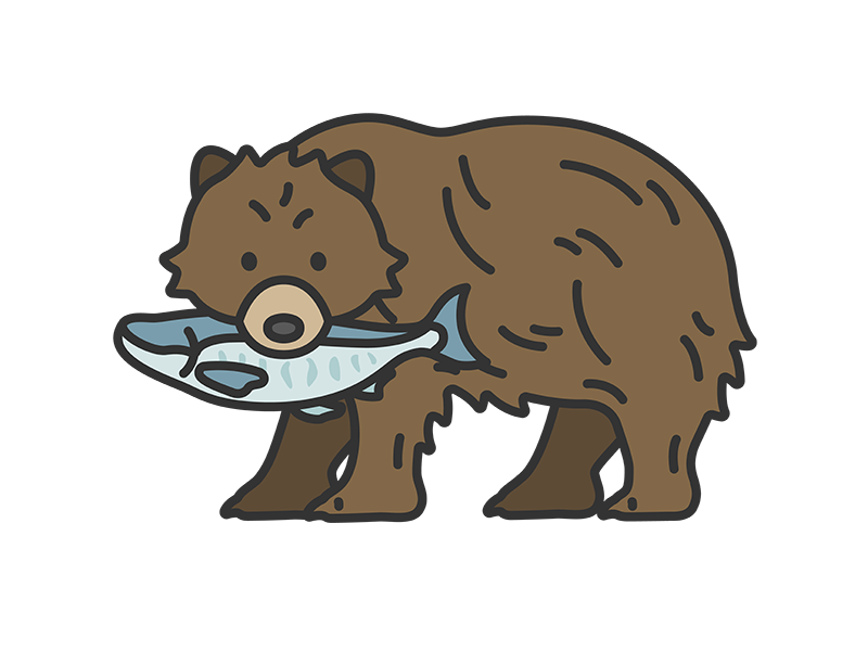 鮭をくわえた、熊（線画カラー）の無料イラスト｜透過PNG・商用利用OK