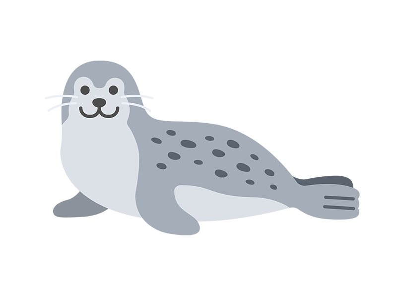 正面を向いた、ゴマアザラシの無料イラスト｜透過PNG・商用利用OK