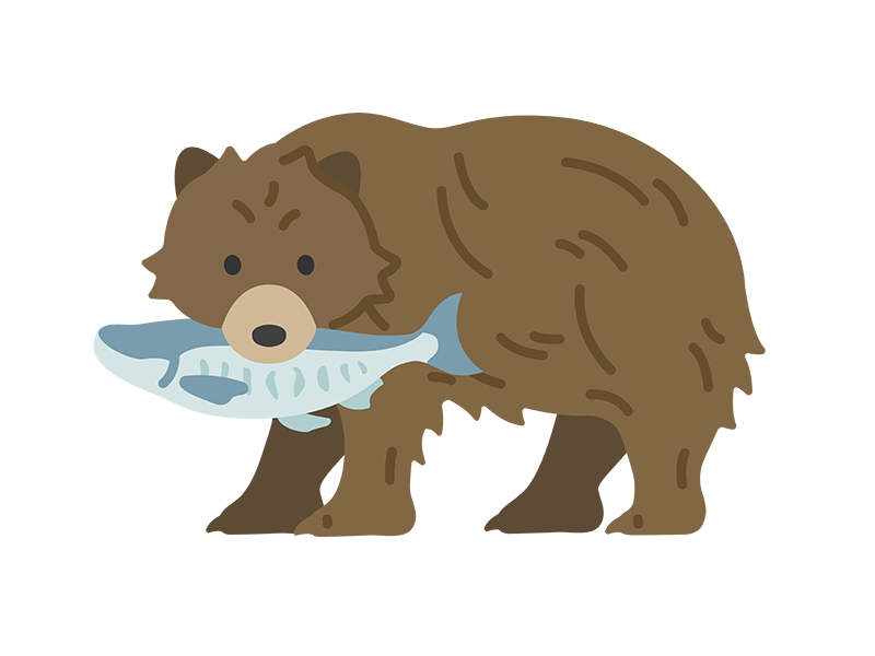 鮭をくわえた、熊の無料イラスト｜透過PNG・商用利用OK