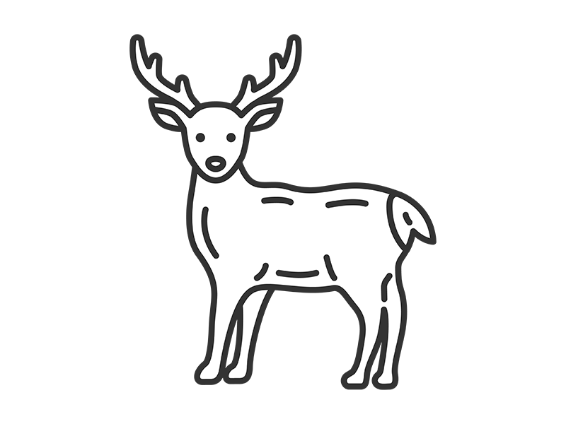 エゾシカ（線画）の無料イラスト｜透過PNG・商用利用OK